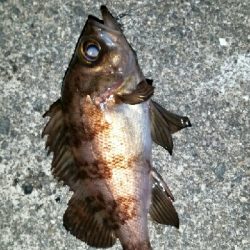 久しぶりの爆風