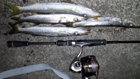 アジングからのカマッシング