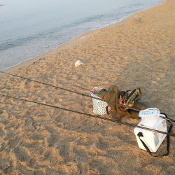 花見カレイ狙いで…。