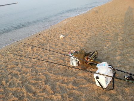 花見カレイ狙いで…。