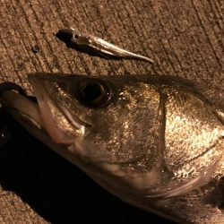 ボーズストップ