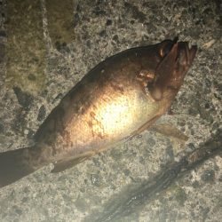 マイクロワインド