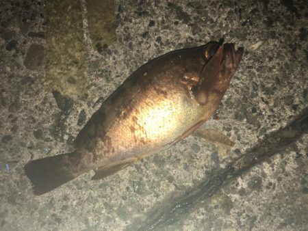 マイクロワインド