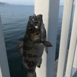 サイズが、、、