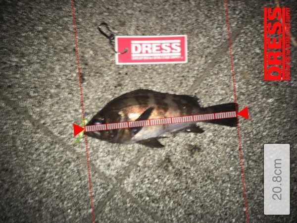 ライトワインドメバリング