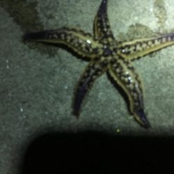 私が知る限りここは最悪です