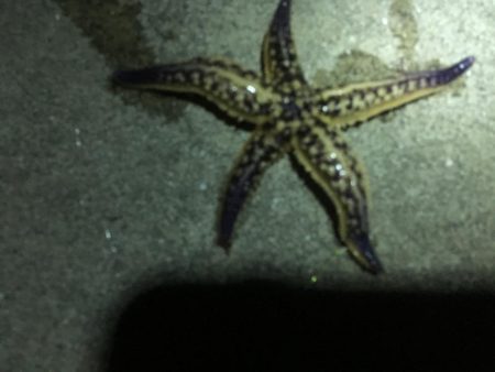 私が知る限りここは最悪です