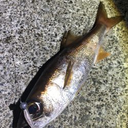 1日ぶりのムツと再会