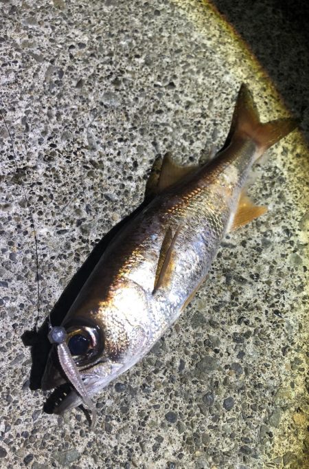 1日ぶりのムツと再会