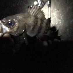 寒かったです！