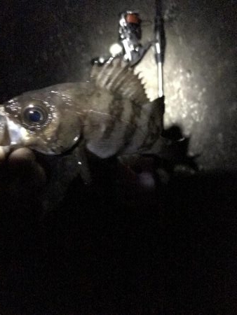 寒かったです！