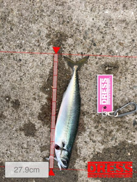 小雨の中でライトゲーム