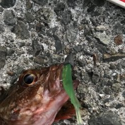 神戸ライトゲーム