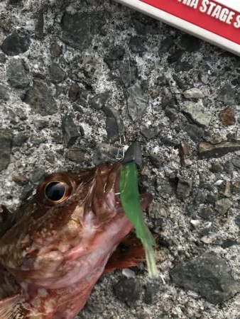 神戸ライトゲーム