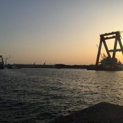 今年、初カレイ