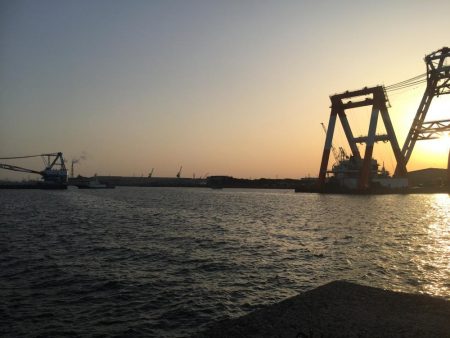 今年、初カレイ