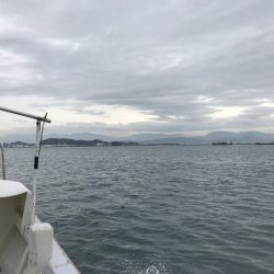 海友 メバル、ガシラ