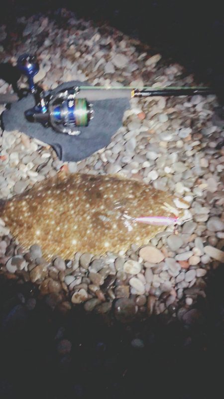 ヒラメ釣ってオーセイ！