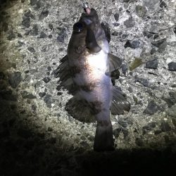 思い通りには・・・