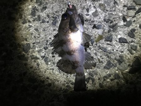 思い通りには・・・