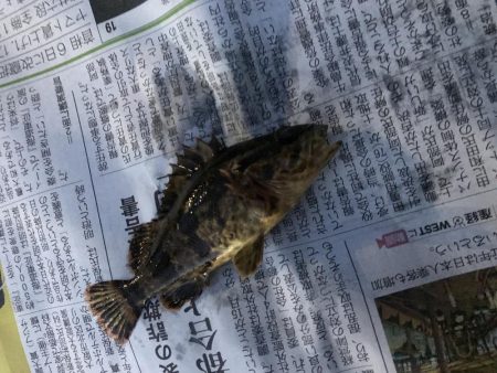 魚が釣りたくて