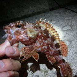 気候は良かったが