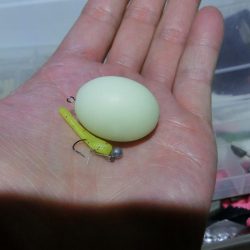 爆風大荒れの中の釣果