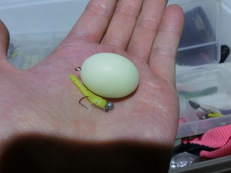 爆風大荒れの中の釣果