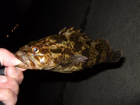 ナイスガッシー!