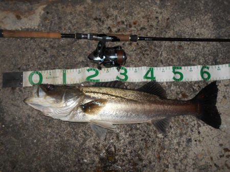 そろそろマイクロベイトパターンか？(南港周…