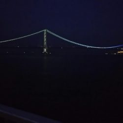 なんとかボウズノガレ