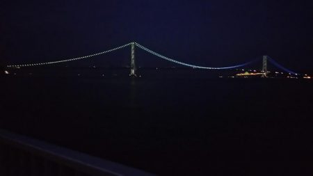 なんとかボウズノガレ