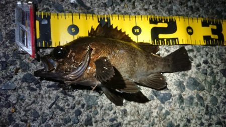 昨日のリベンジ