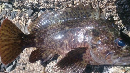 快晴で気持ちいい