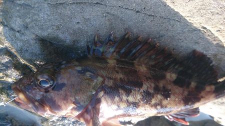 釣りを許された時間で