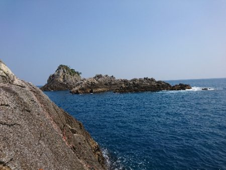 勝浦でグレ釣り