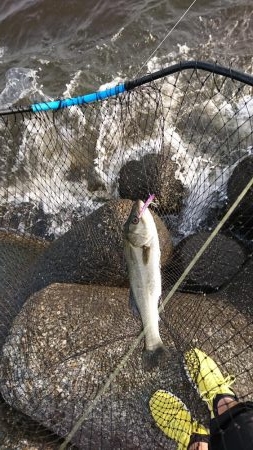 よくなってきました。