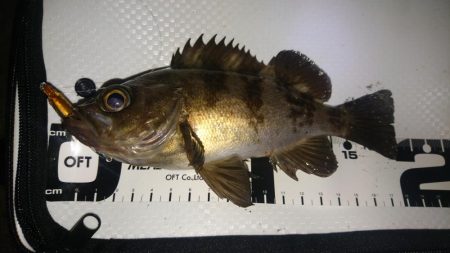 放置プレイがお好き？