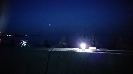 花見ガレイ(戻りガレイ)