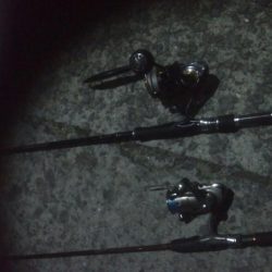 シーバス＆メバーリング