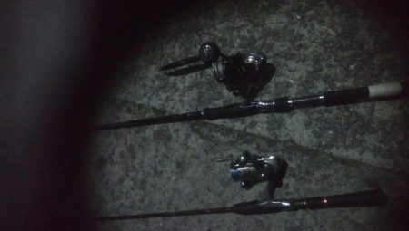 シーバス＆メバーリング