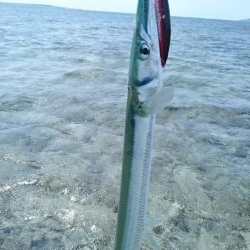 西表島リーフエンド