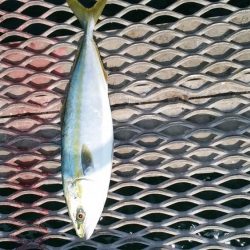 諦めかけたその時に。。。