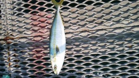 諦めかけたその時に。。。