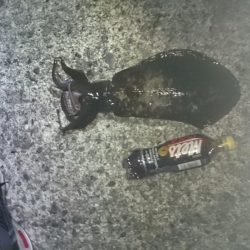 今週も同じ場所で！