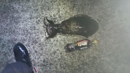 今週も同じ場所で！