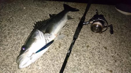 アフターシーバス