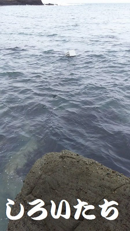 ２日間の香住釣行。