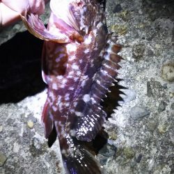 ウキが沈むと楽しい。