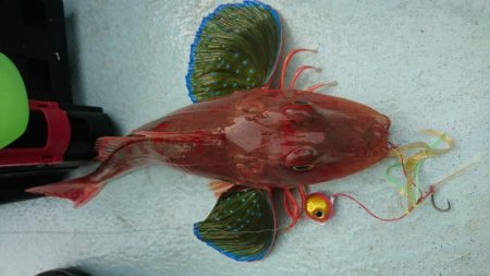 徳島県南タイラバ